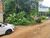 Terreno, 300 m² - Foto 4