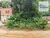 Terreno, 300 m² - Foto 2