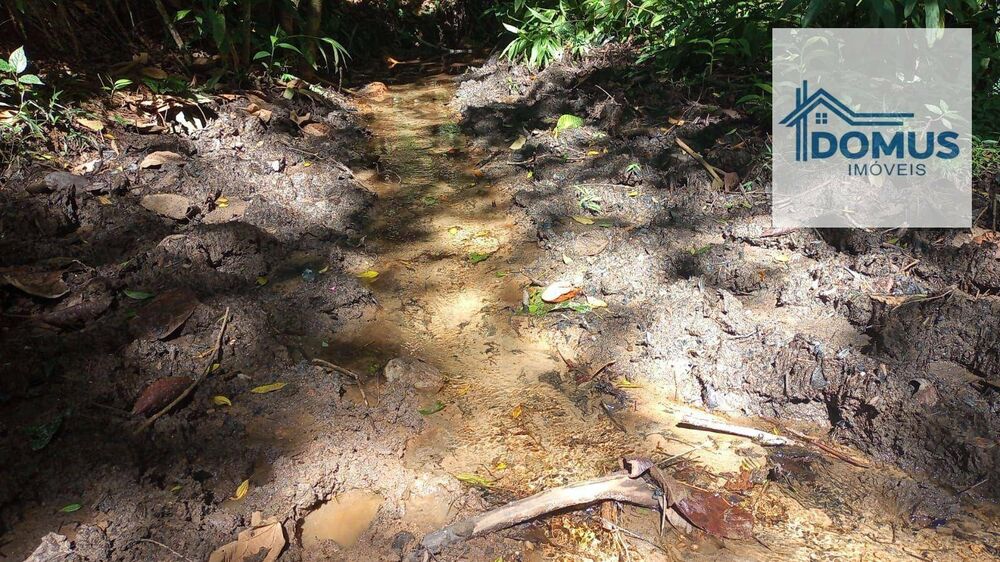 Terreno, 2 hectares - Foto 6