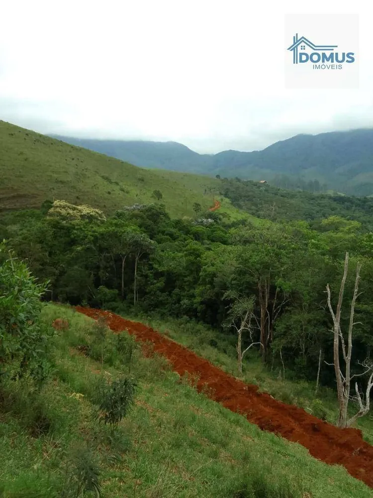 Terreno, 2 hectares - Foto 6