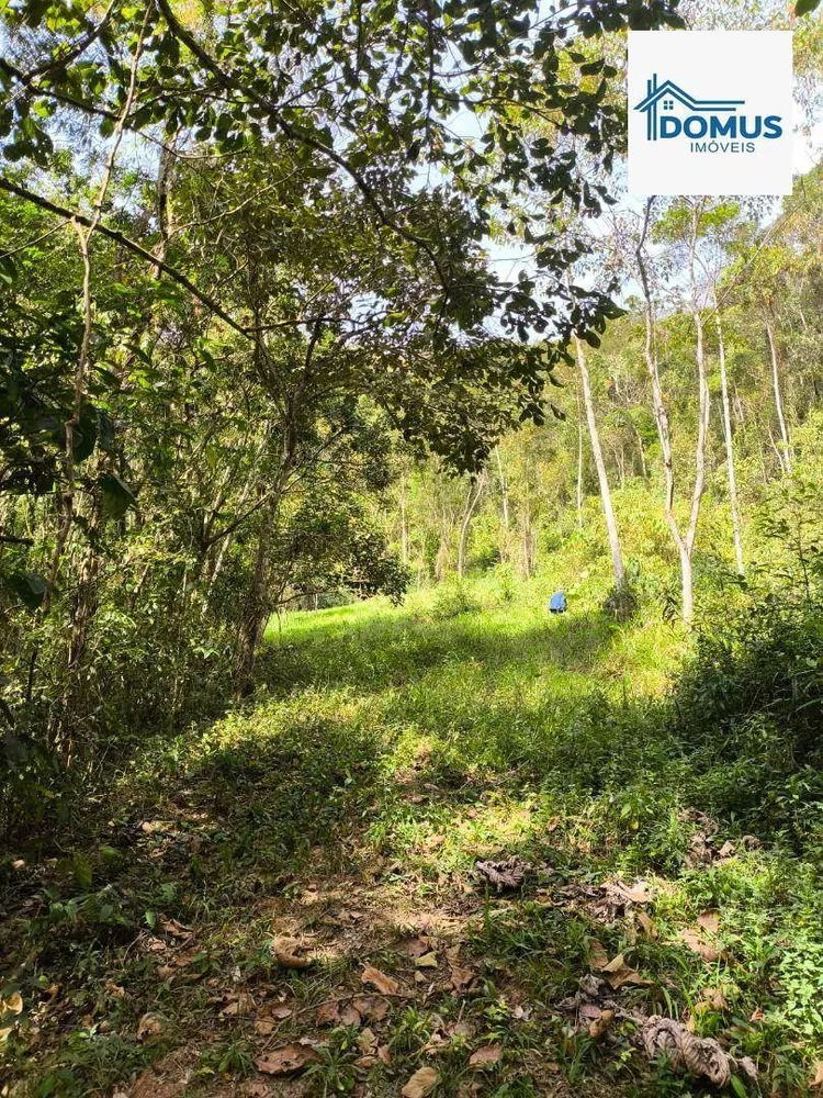 Terreno, 7 hectares - Foto 3