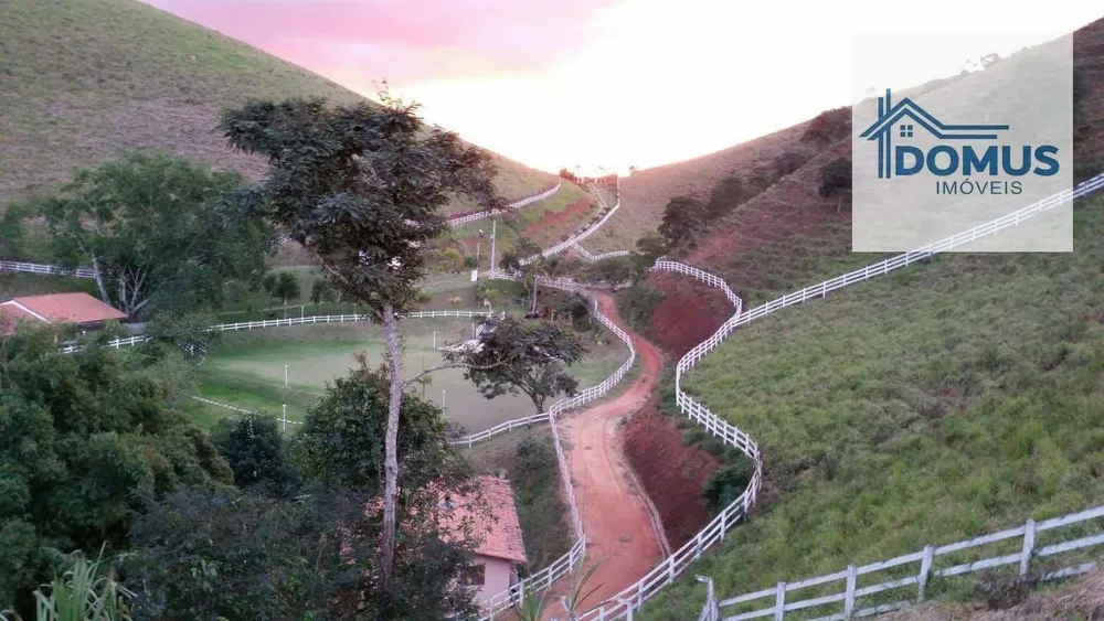 Fazenda, 46 hectares - Foto 16