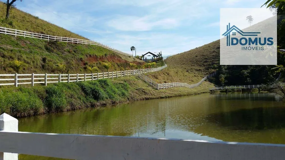 Fazenda, 46 hectares - Foto 5