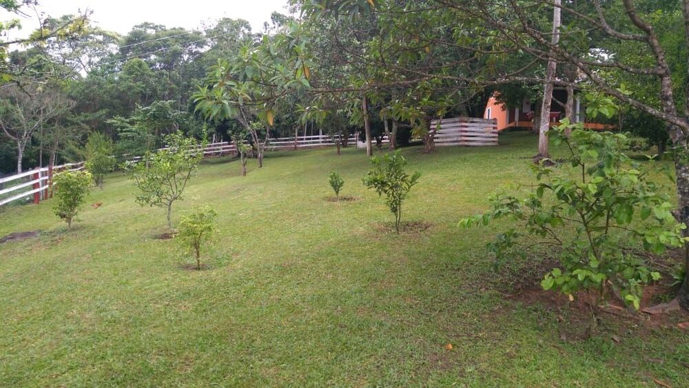 Sítio, 4 quartos, 34 hectares - Foto 7