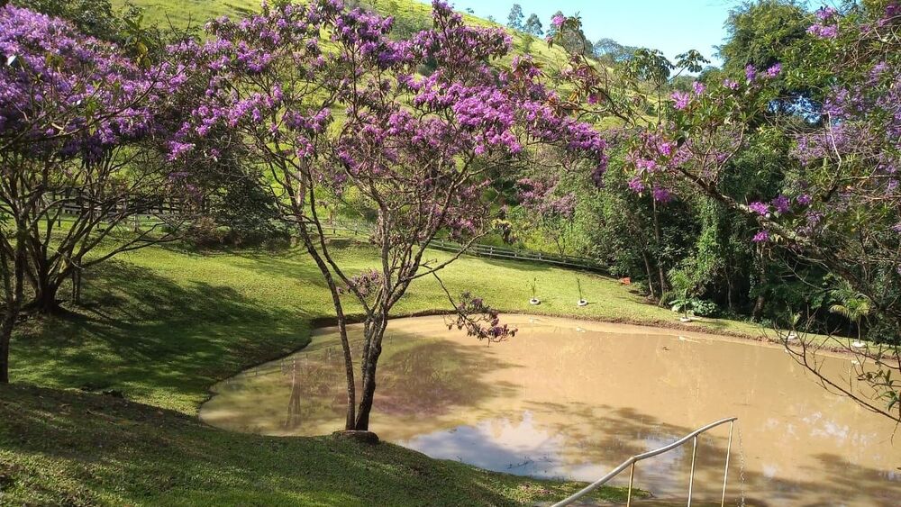 Sítio, 4 quartos, 34 hectares - Foto 1