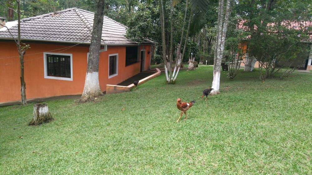 Sítio, 4 quartos, 34 hectares - Foto 6