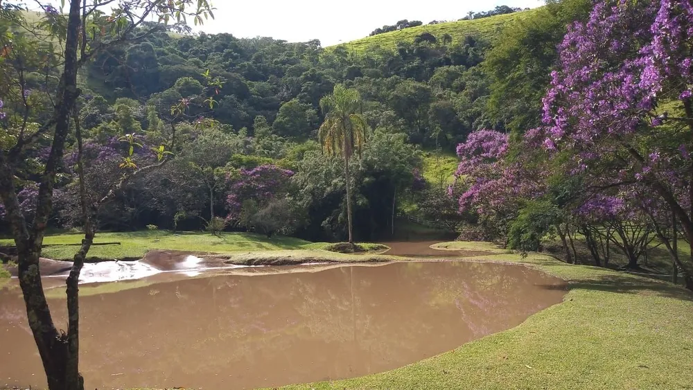 Sítio, 4 quartos, 34 hectares - Foto 7