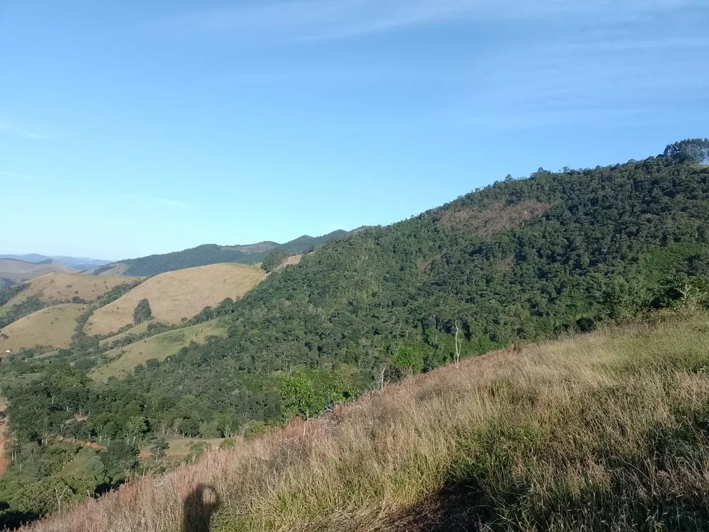 Terreno, 5 hectares - Foto 1
