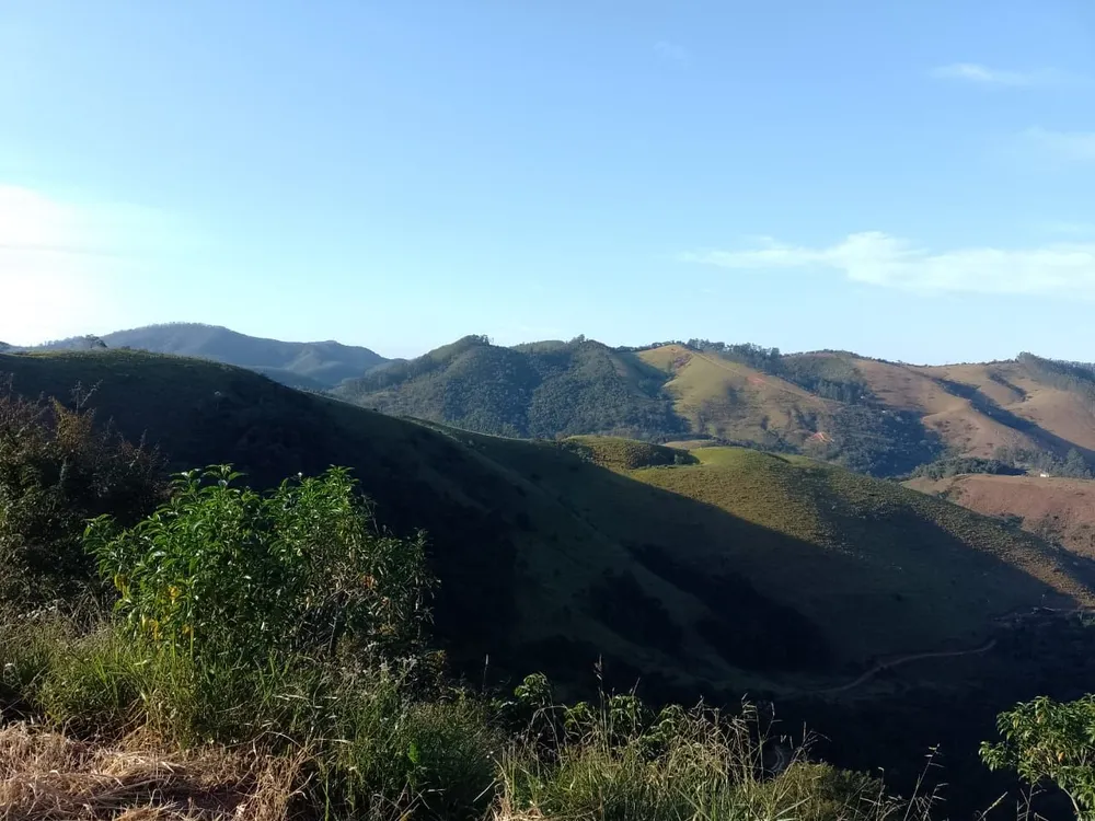 Terreno, 5 hectares - Foto 4
