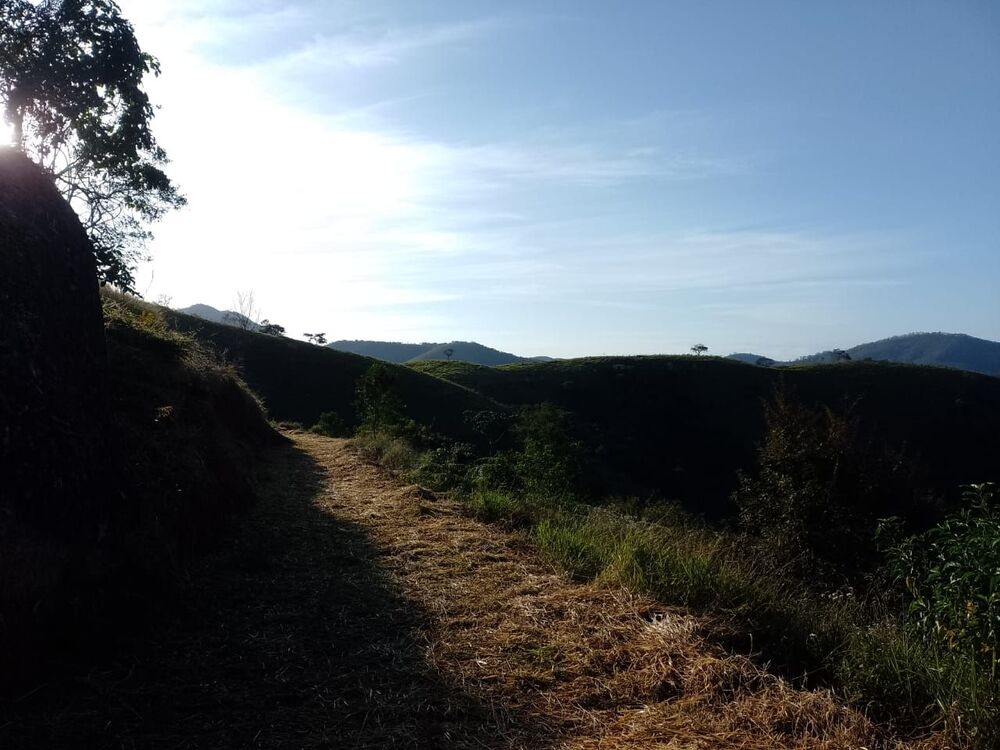 Terreno, 5 hectares - Foto 8
