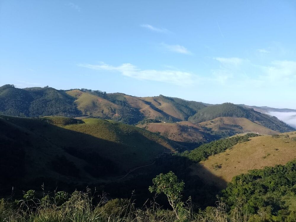 Terreno, 5 hectares - Foto 6