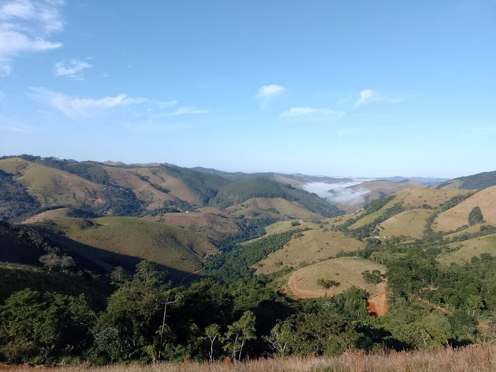 Terreno, 5 hectares - Foto 10