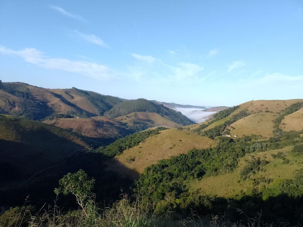 Terreno, 5 hectares - Foto 7