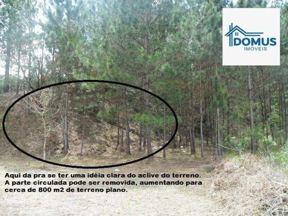 Terreno, 1515 m² - Foto 7