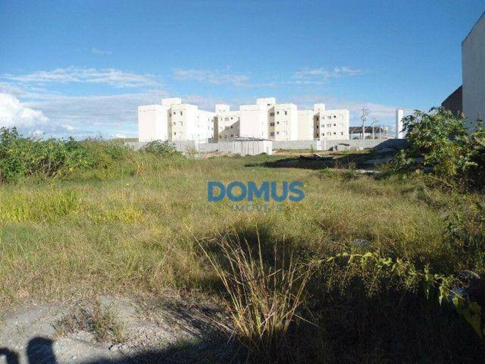 Terreno, 8448 m² - Foto 3