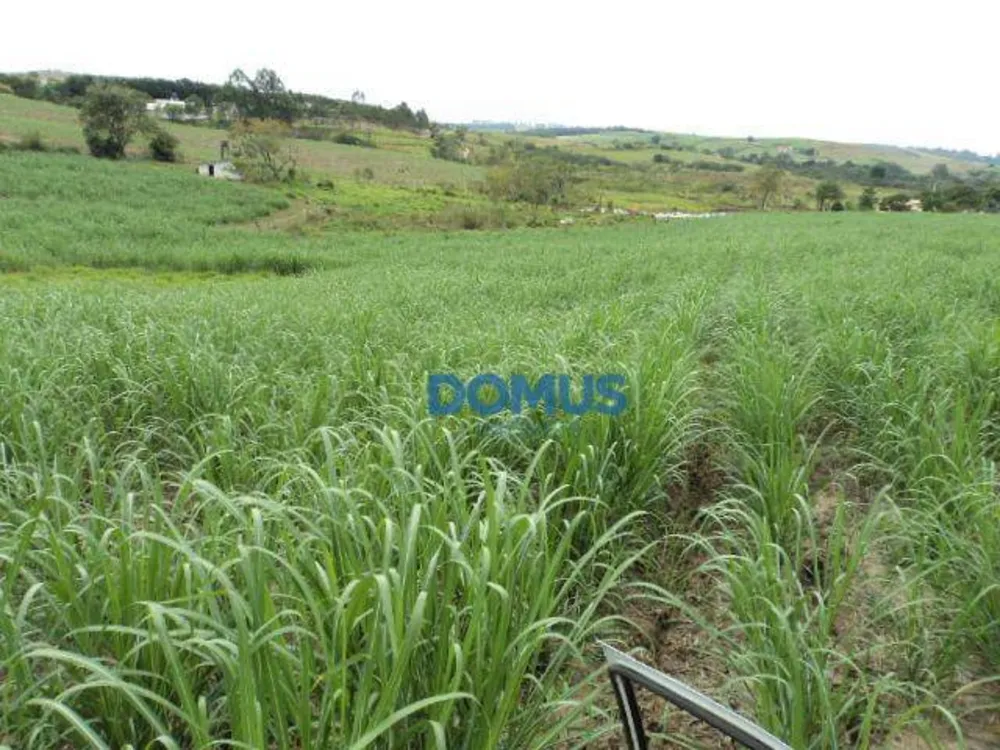 Terreno, 8 hectares - Foto 7