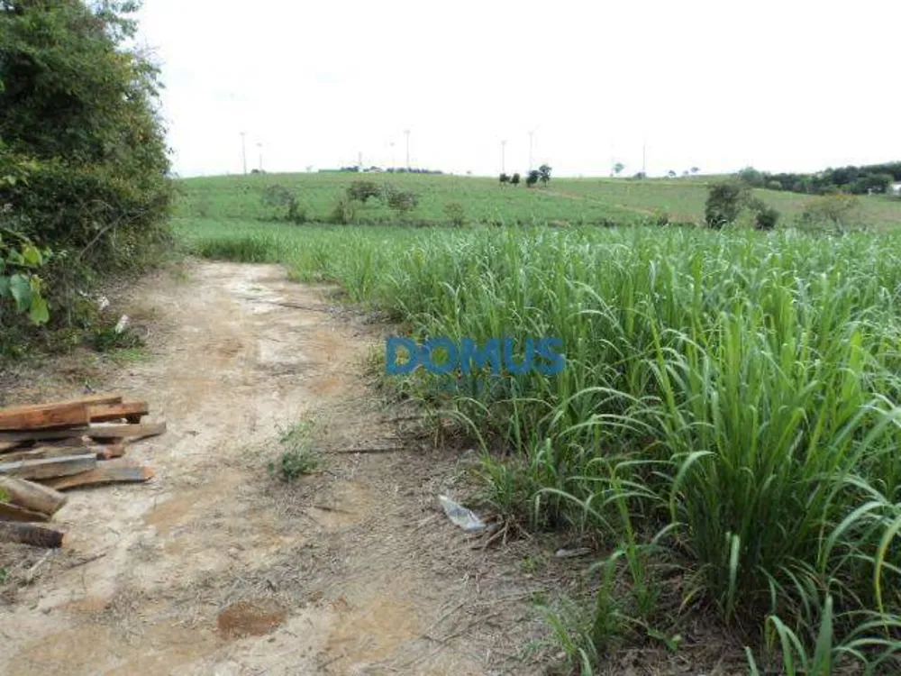 Terreno, 8 hectares - Foto 6