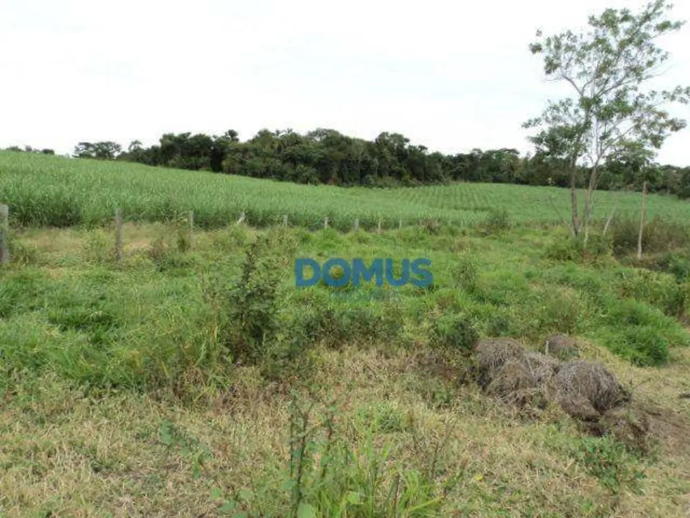 Terreno, 8 hectares - Foto 12