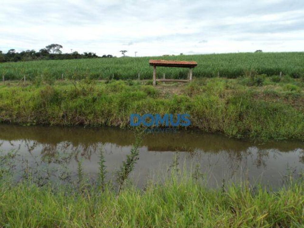 Terreno, 8 hectares - Foto 1