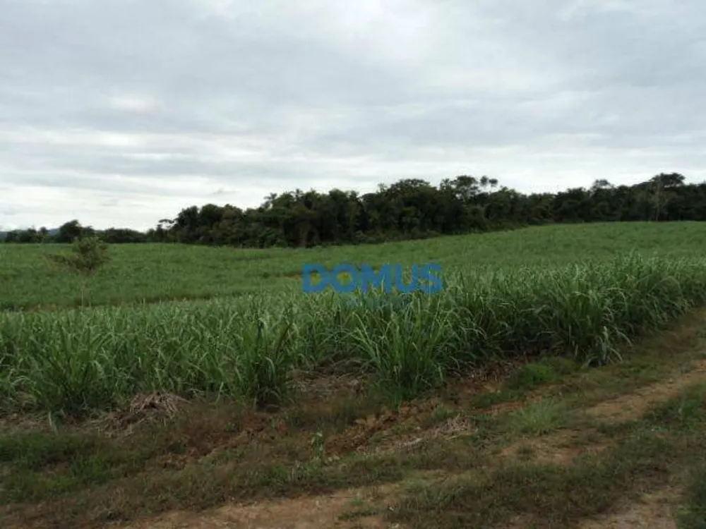 Terreno, 8 hectares - Foto 9