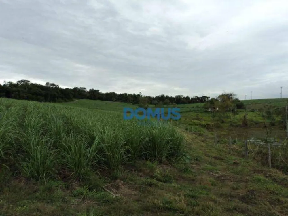 Terreno, 8 hectares - Foto 4