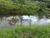 Terreno, 8 hectares - Foto 3