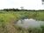 Terreno, 8 hectares - Foto 2