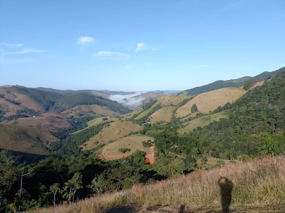 Terreno, 2 hectares - Foto 11