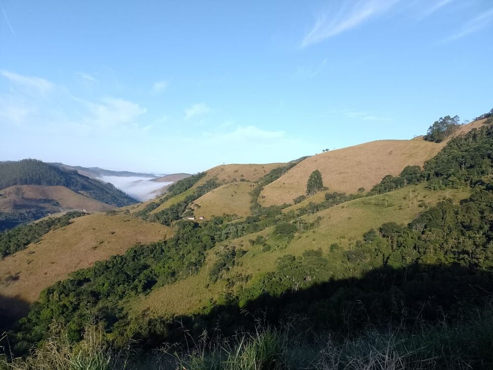 Terreno, 2 hectares - Foto 7