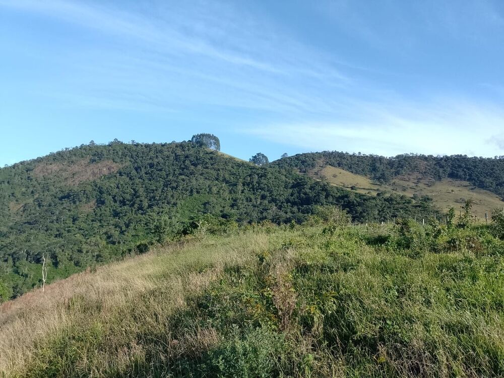 Terreno, 2 hectares - Foto 15