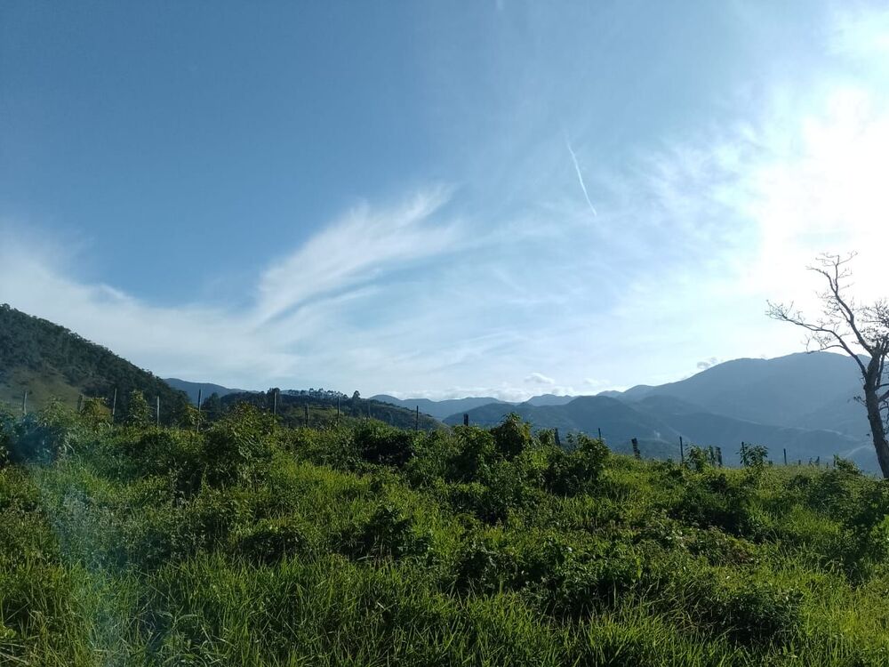 Terreno, 2 hectares - Foto 14