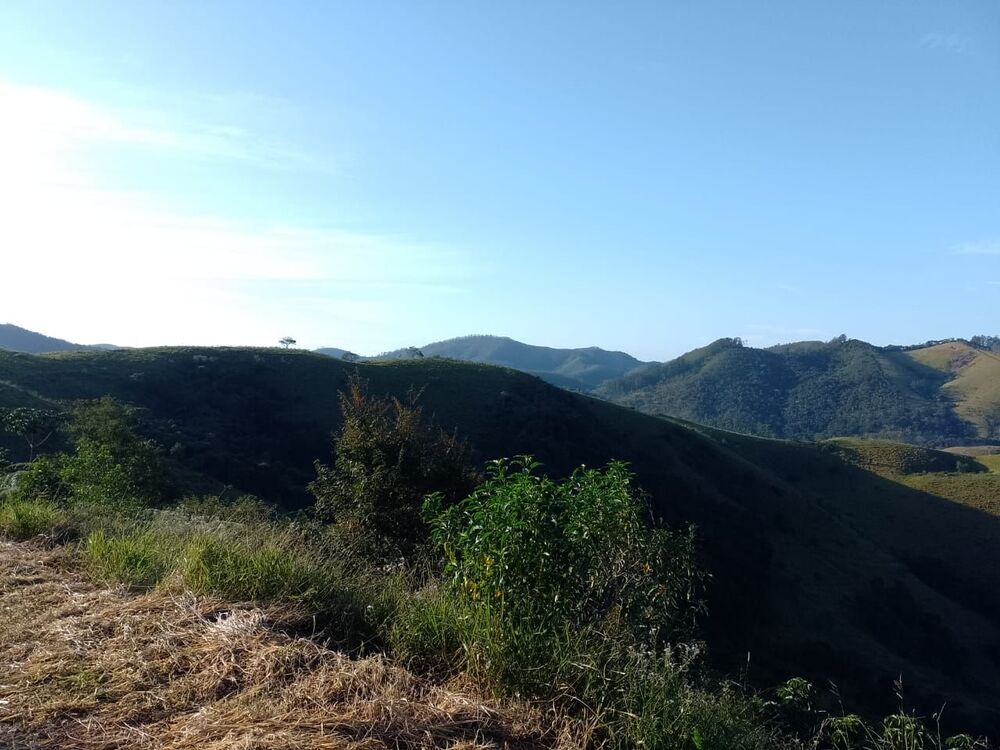 Terreno, 2 hectares - Foto 5