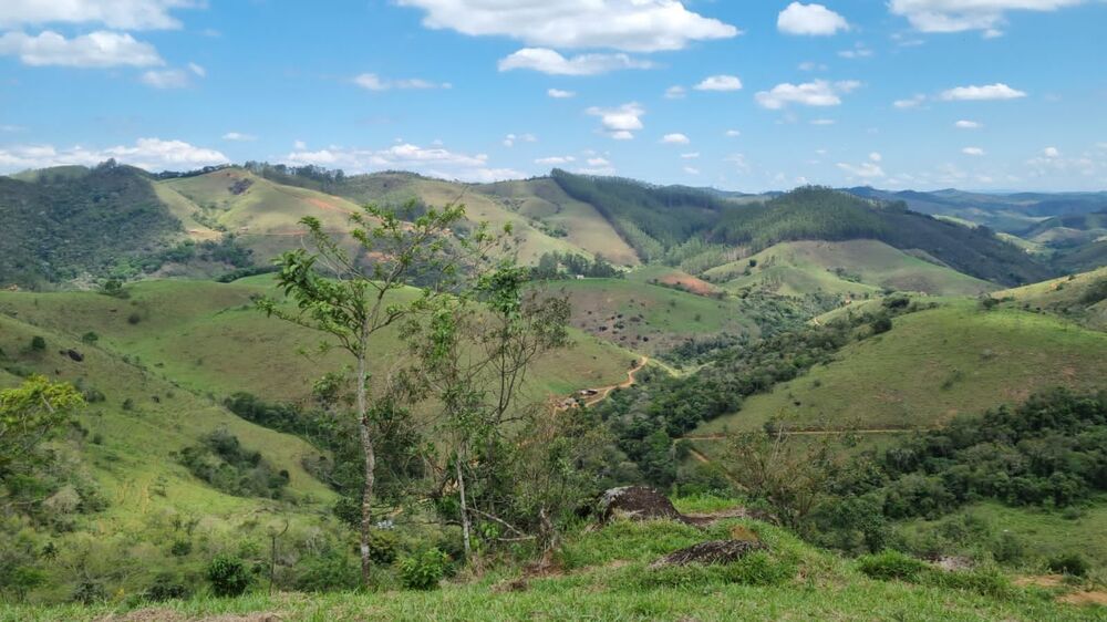 Terreno, 2 hectares - Foto 2