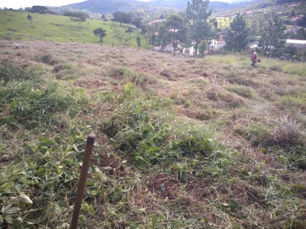 Terreno, 2000 m² - Foto 11