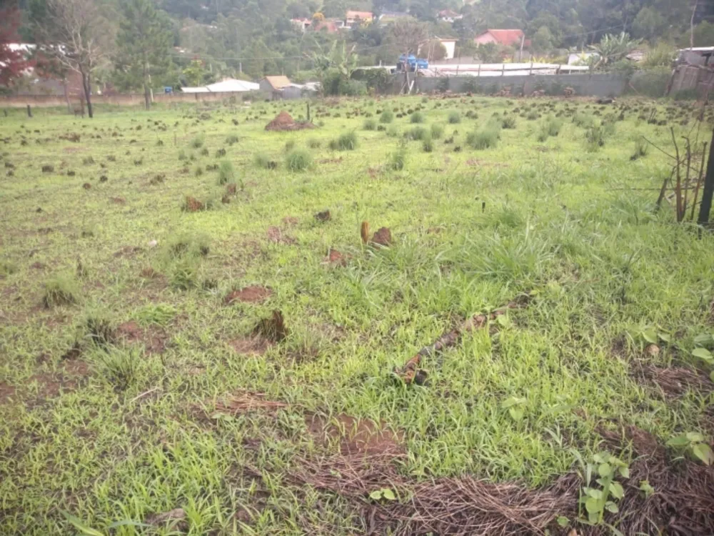 Terreno, 2000 m² - Foto 5