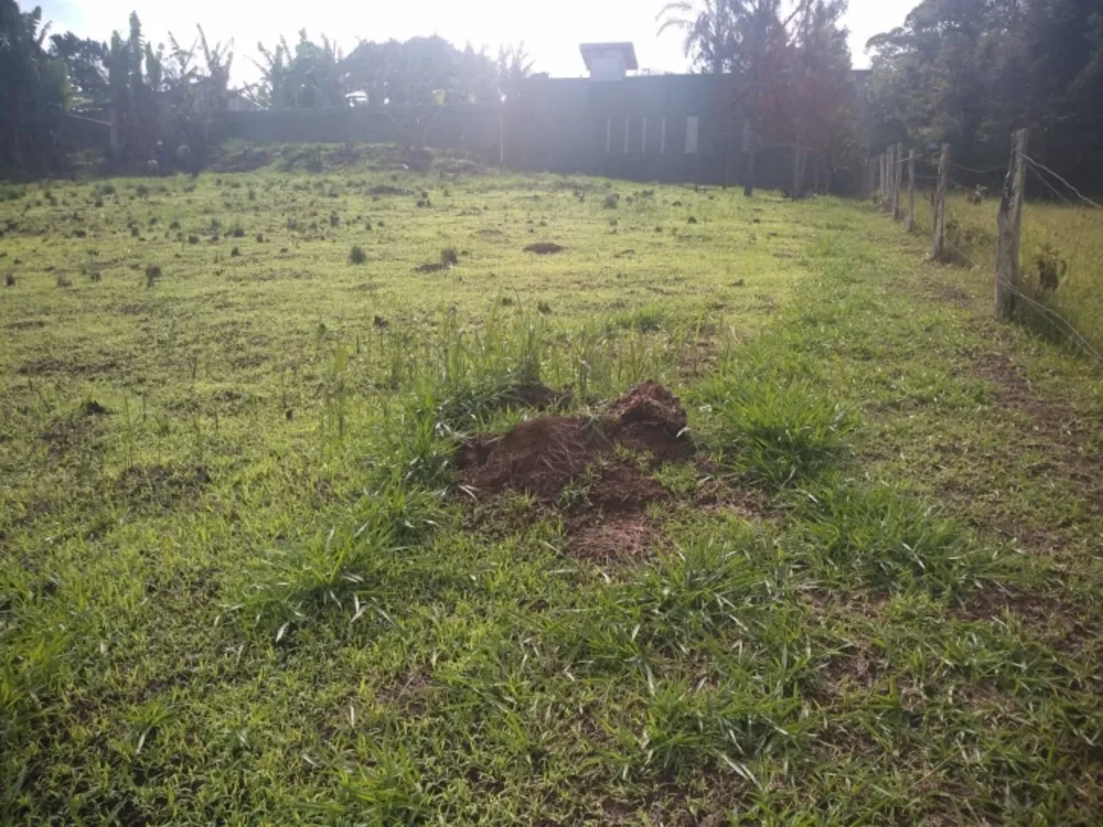 Terreno, 2000 m² - Foto 6
