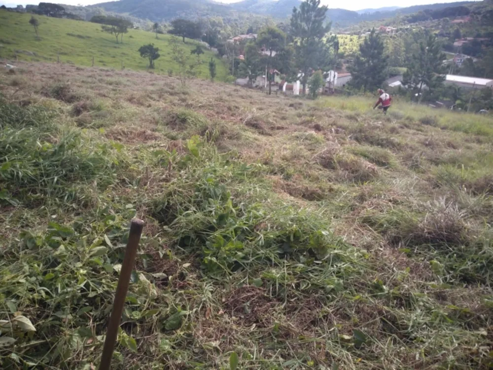 Terreno, 2000 m² - Foto 12