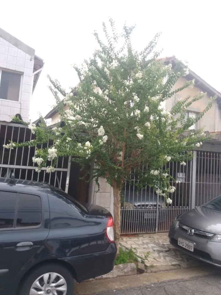 Casa, 3 quartos, 125 m² - Foto 11