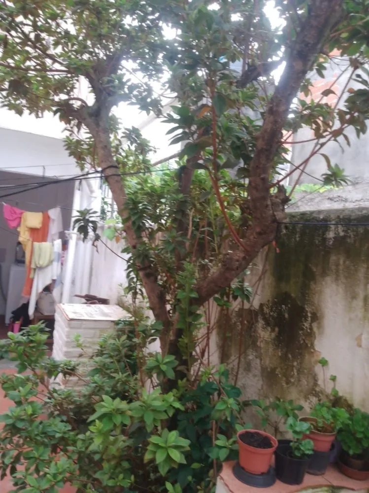 Casa, 3 quartos, 125 m² - Foto 8