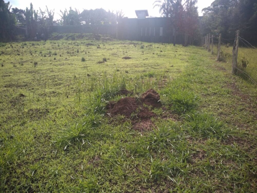 Terreno, 2000 m² - Foto 6