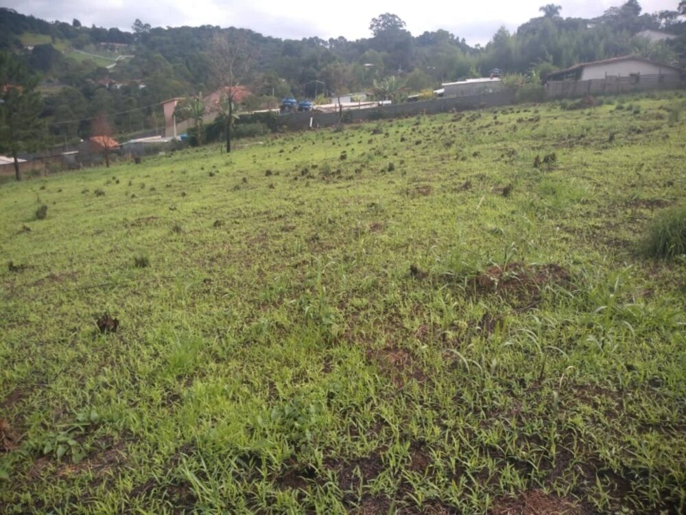 Terreno, 2000 m² - Foto 3