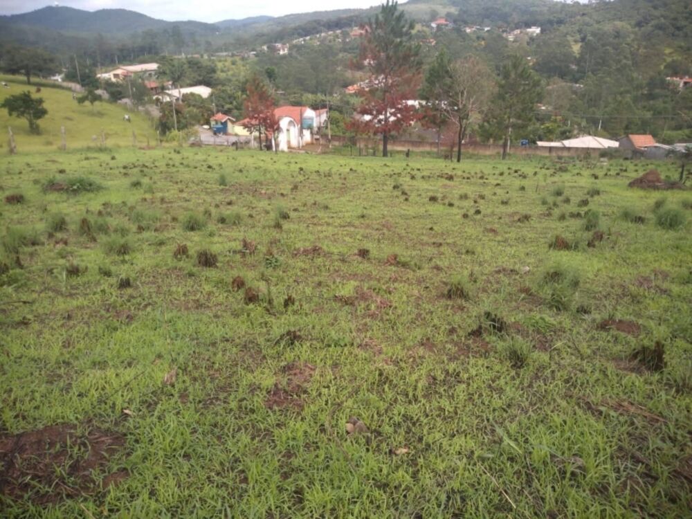 Terreno, 2000 m² - Foto 7