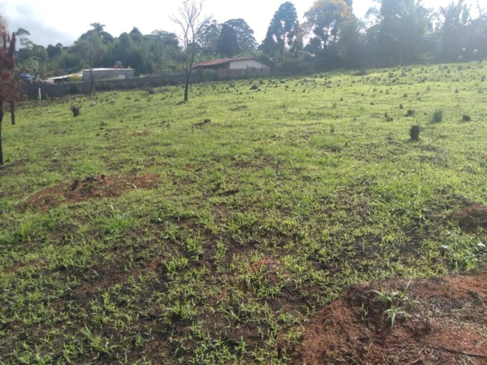 Terreno, 2000 m² - Foto 8