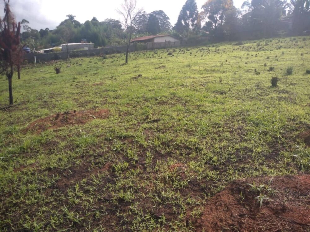 Terreno, 2000 m² - Foto 2