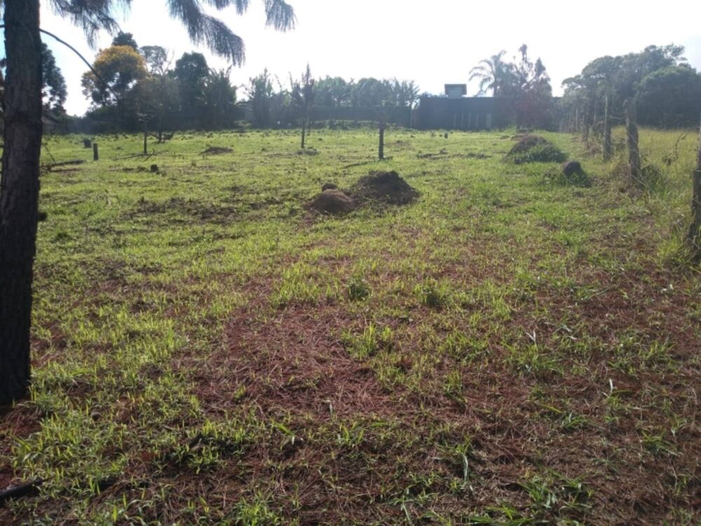 Terreno, 2000 m² - Foto 4