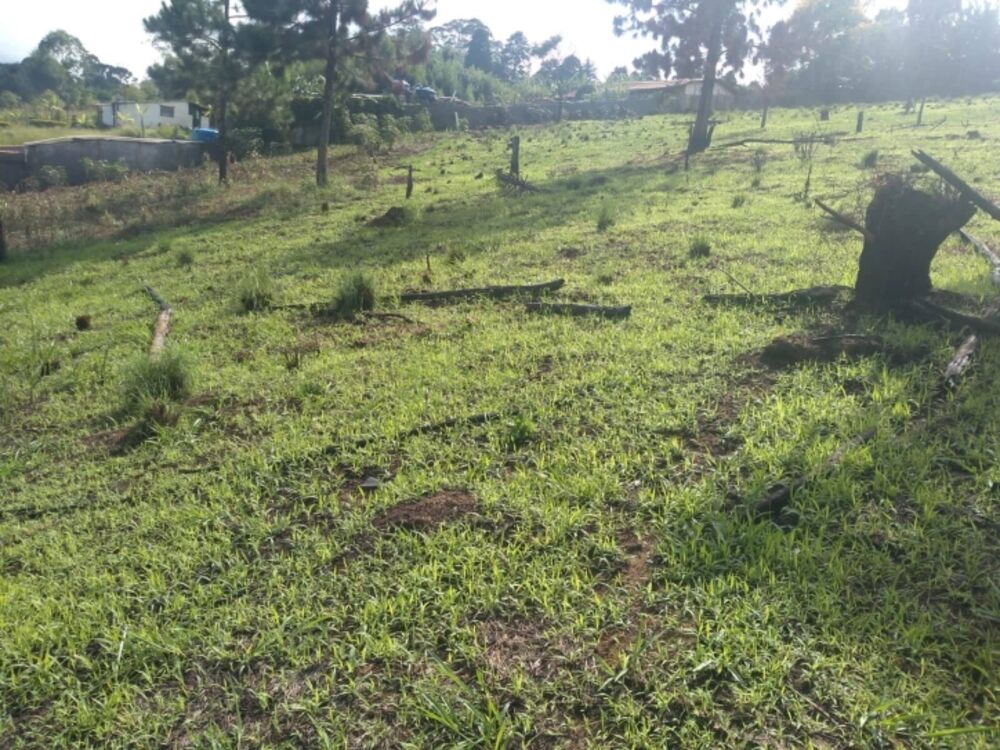 Terreno, 2000 m² - Foto 9