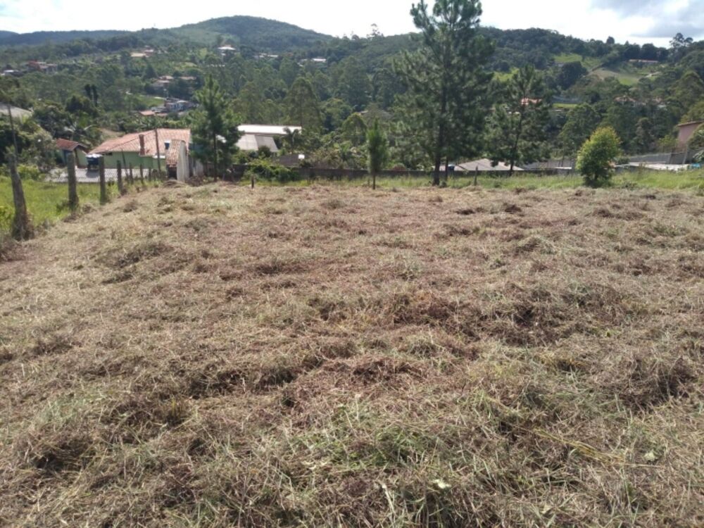 Terreno, 2000 m² - Foto 11