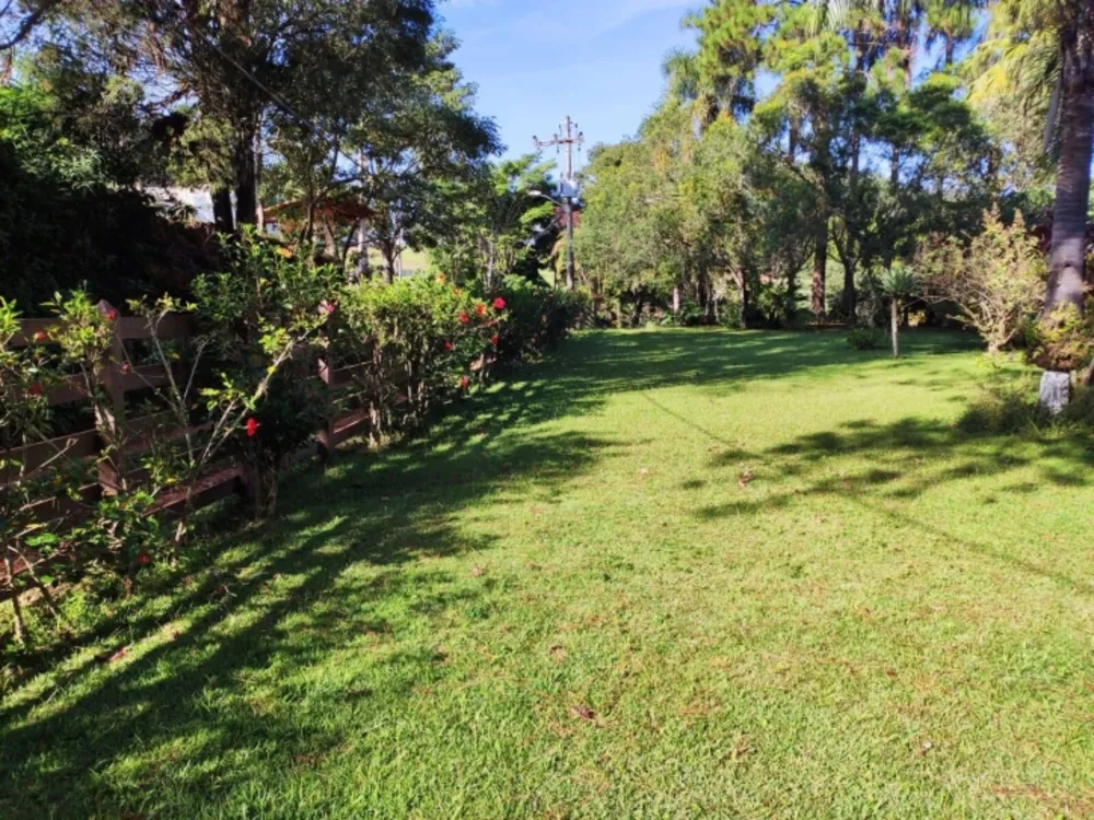 Terreno, 3 hectares - Foto 7