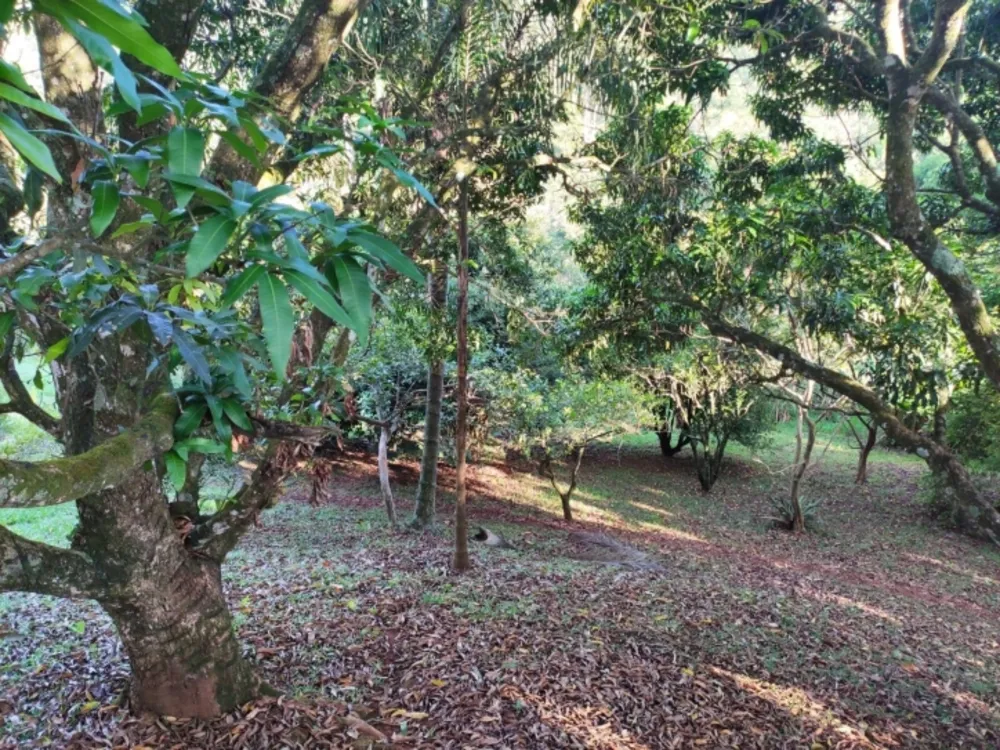 Terreno, 3 hectares - Foto 8