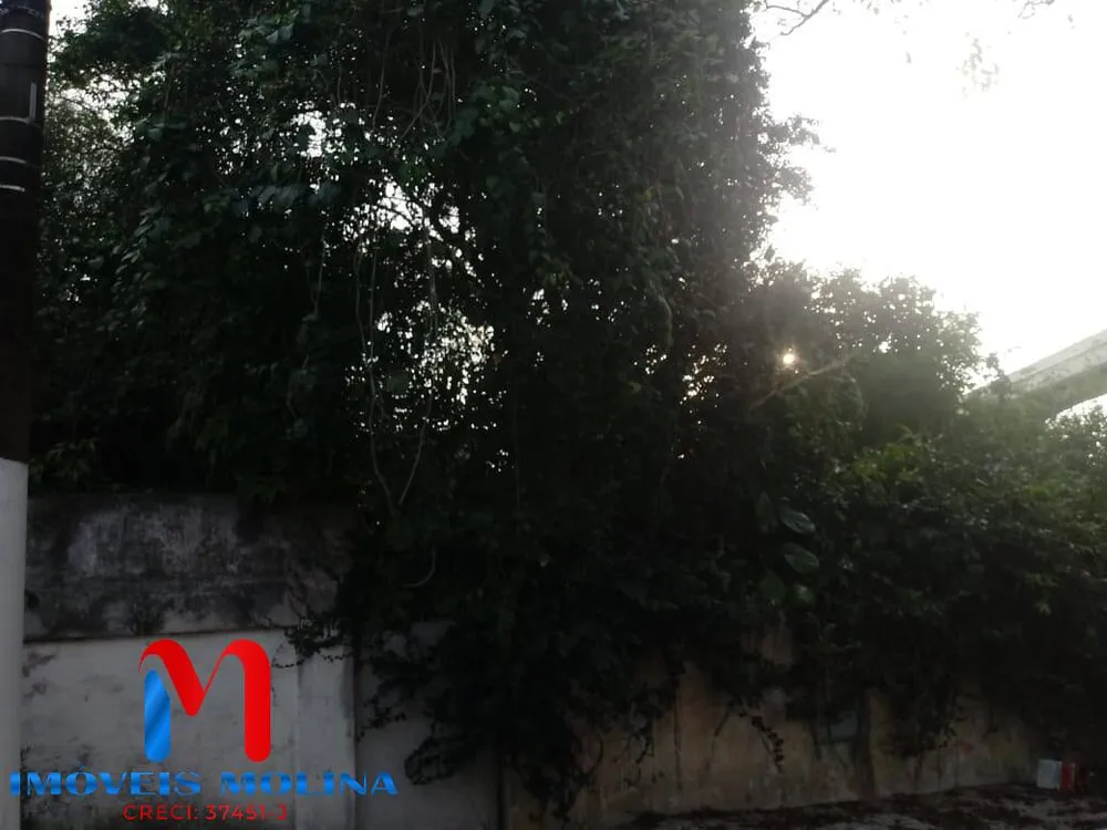 Terreno, 660 m² - Foto 11